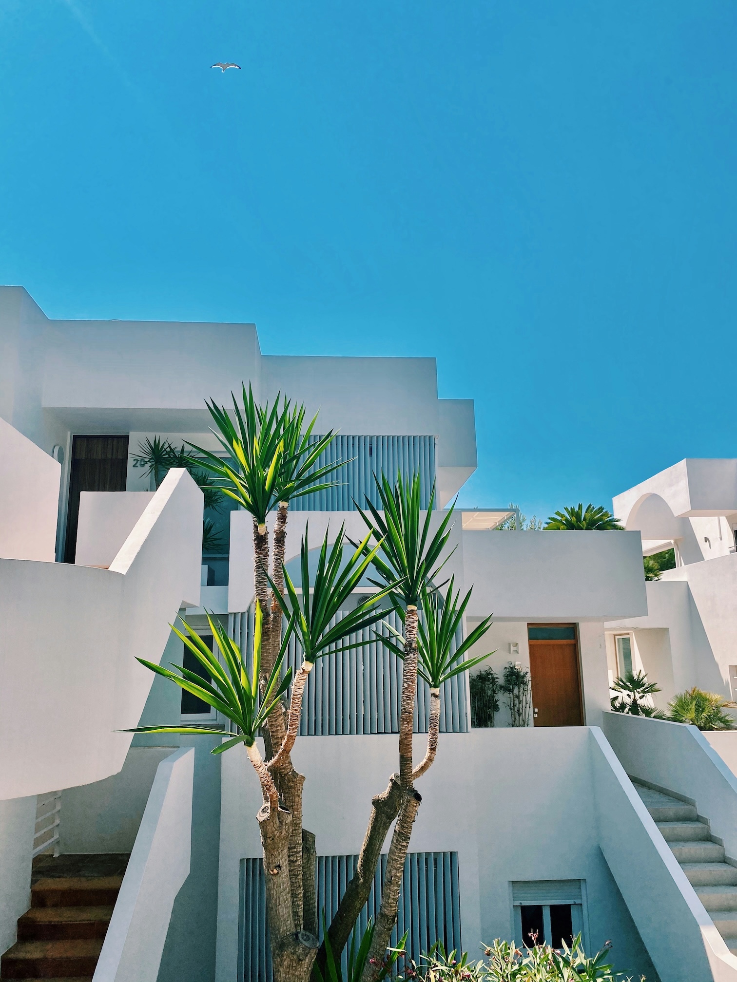 Property Finder Background
